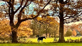Kleurig doorkijkje in de namiddagzon Eerder Achterbroek (Ov.)