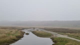 Mystieke vrijdagochtend in de Slufter 