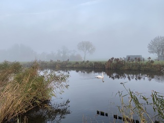 Mistige start van een zonnige dag Mijdrecht 08:12