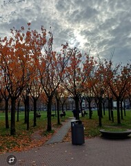 Museumplein Amsterdam