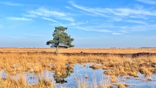 Engbertsdijksvenen : Lekker zonnig en rustig wandelweer.