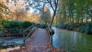 landgoed ockenburg met herfstkleuren