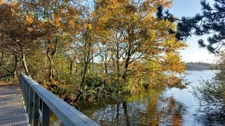 prachtige herfstkleuren 