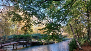 ockenburghse bos den haag