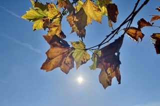 Felle zon met strakblauwe lucht 