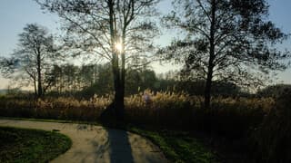 Laagstaande zon, blauwe lucht en windstil