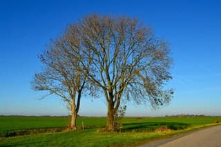 Zonnig in de Alblasserwaard.