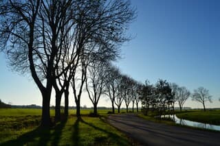 Zonnig in de Alblasserwaard.