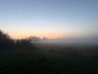 Opkomende mist bij zonsondergang 