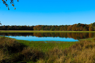 Boompjesven, Loonse en Drunense duinen