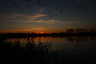 Zonsondergang aan de Maas