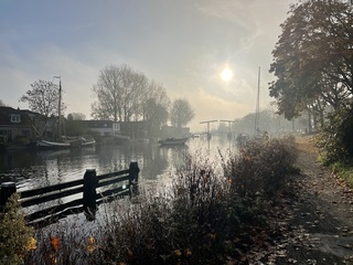 Ochtend mist 