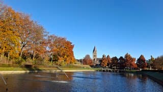 Strak blauwe lucht en zacht