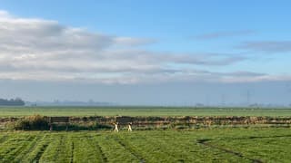 Goedemorgen Haastrecht! 