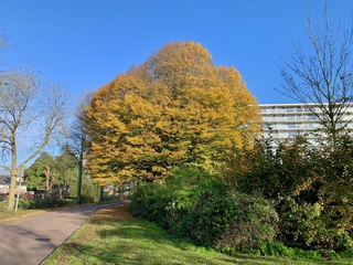 Herfst in Uithoorn 