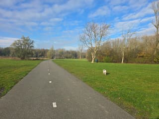 Rondje met het hondje