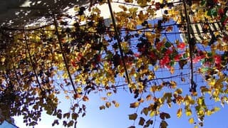 Het is ongekend warm