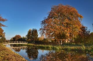 Herfstkleuren 
