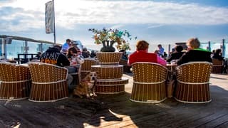 WARME HERFSTDAG DE JASSEN KUNNEN UIT