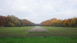 Zon, wolken en schitterende herfstkleuren in de middag 