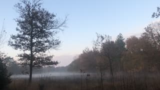 Laaghangende mist in open veld 