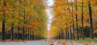 Nog volop herfstkleuren