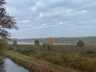 Herfstwandeling