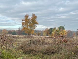 Kom maar op zonnetje 