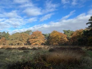Er verscheen steeds meer blauwe lucht 