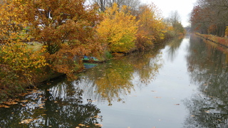 13.43u Een vleugje zon.