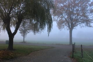 Opeens flink mistig om 15uur