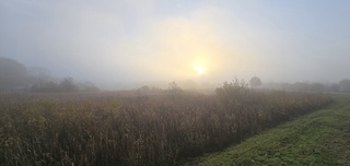 Rustig op zondag morgen 