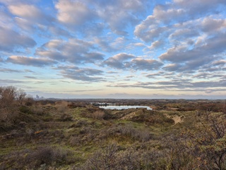 De duinen