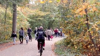 Ideaal weer voor een boswandeling 