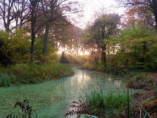 Vanmorgen zonnestralen