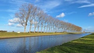 Kalende bomenrij op wederom zo'n mooie herfstdag