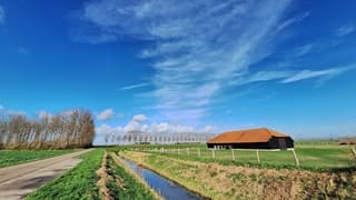 Zon en lichte sluierbewolking