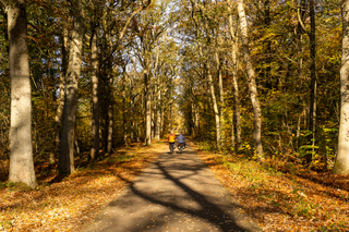 Fietsen door het Bergerbos
