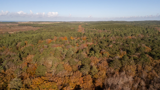 Bergerbos (NH) van boven.