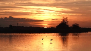 Zonsondergang Veluwemeer
