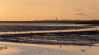 Zonsondergang Terschelling