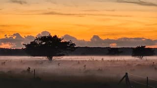 zonsondergang en mist 