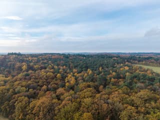 Mooie herfst kleuren en een zonnetje.