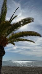 Zonnig met wat sluierbewolking