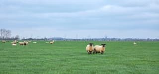 Dichte bewolking boven de Groninger landerijen vanmiddag 