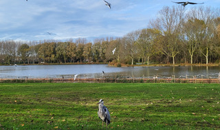 De zon komt steeds beter door. 