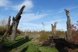 Zon en sluierbewolking.