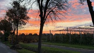 De ochtend boven Wadenoijen