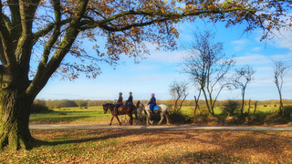 zonnige middag in Ede
