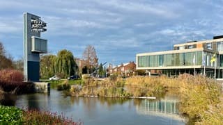 Variatie in herfstkleuren aan het Raadhuisplein 